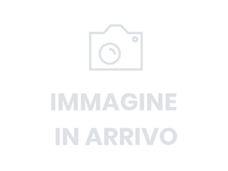 FORD Puma 1.0 ecoboost ST-Line s&s 125cv auto